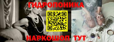 твердый Гусев