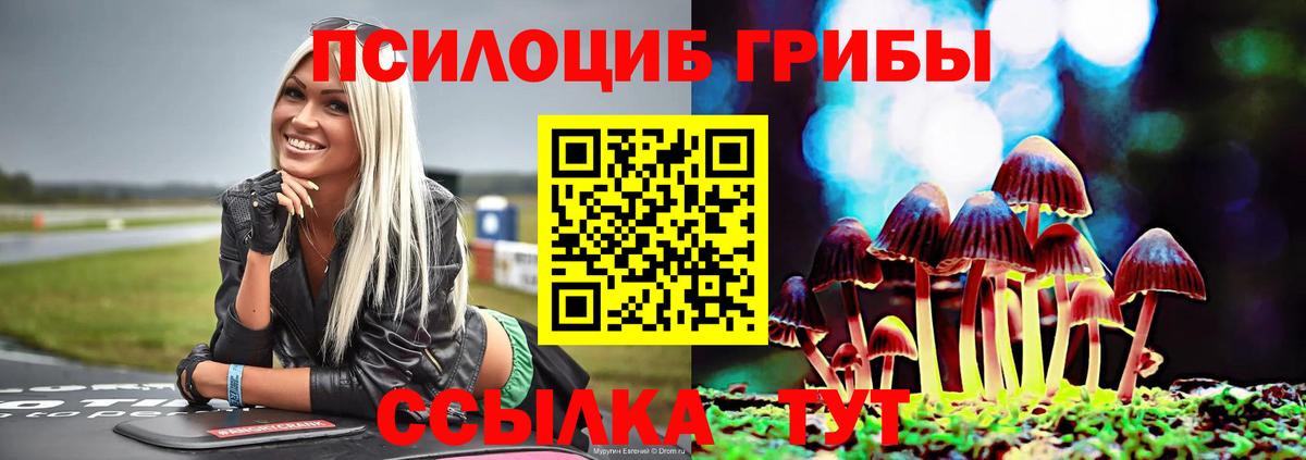 A-PVP Малгобек