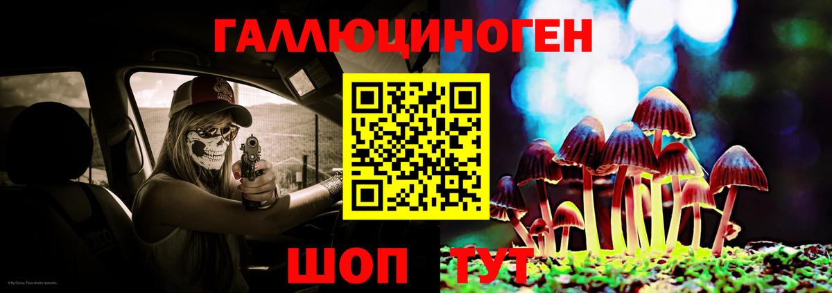 Малгобек  Псилоцибиновые грибы Psilocybe  Псилоцибиновые грибы Psilocybe  Вход с VPN 